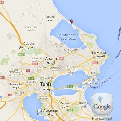Phebus Resort&spa Hotel Gammarth